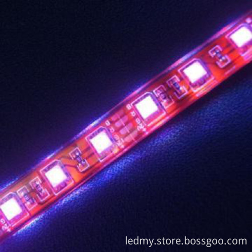 DC12/24V 72LEDs/M RGB SMD5050 led strip lighting